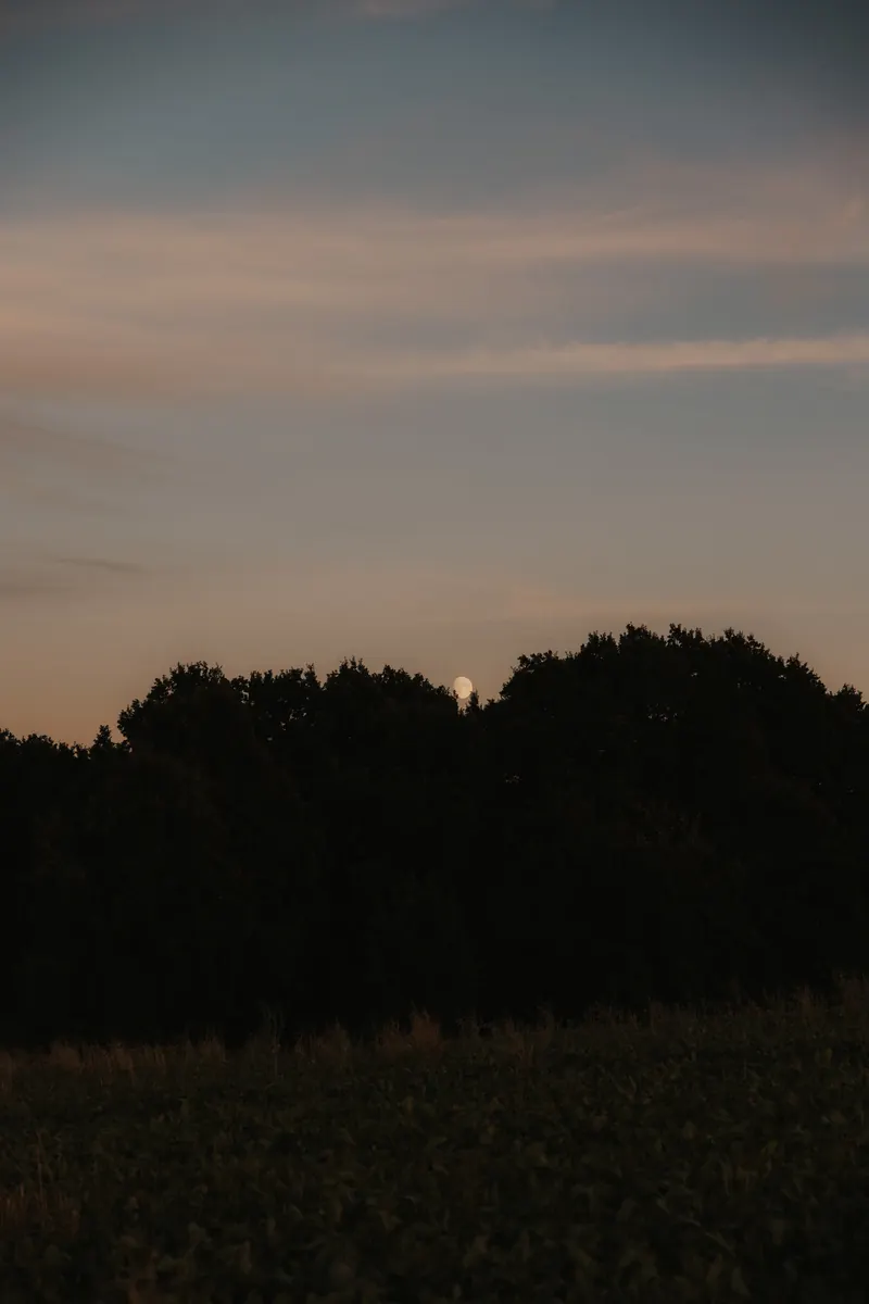 Miłosna sesja Ani i Szymona – Soulmates Foto, fotograf ślubny Śląsk